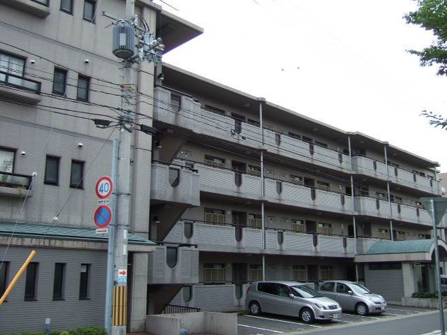 0/ドール辻井