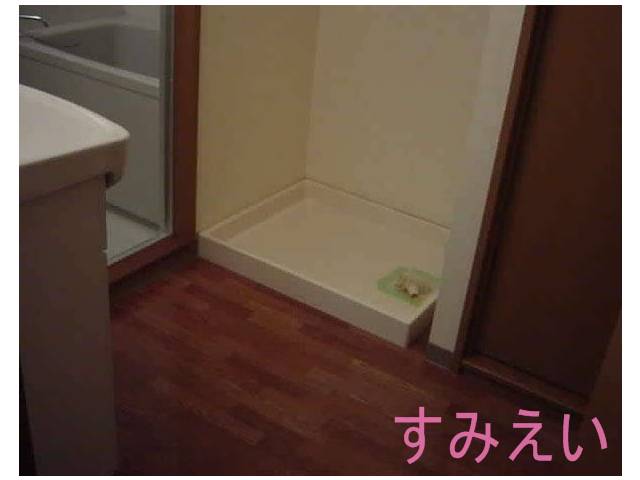内装６